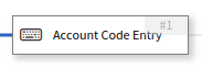 the Account Code Entry node